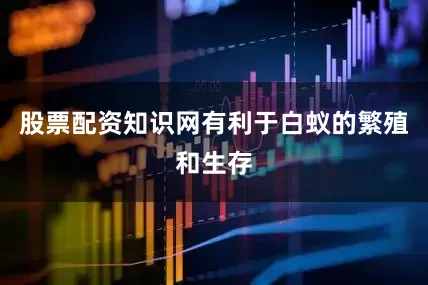 股票配资知识网有利于白蚁的繁殖和生存