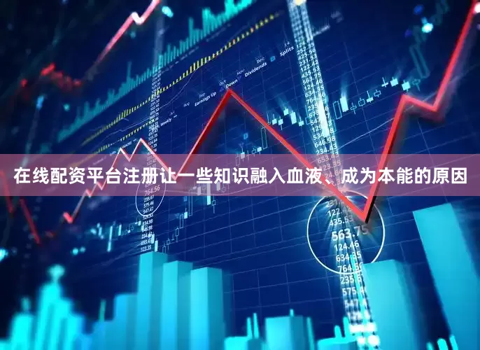 在线配资平台注册让一些知识融入血液、成为本能的原因