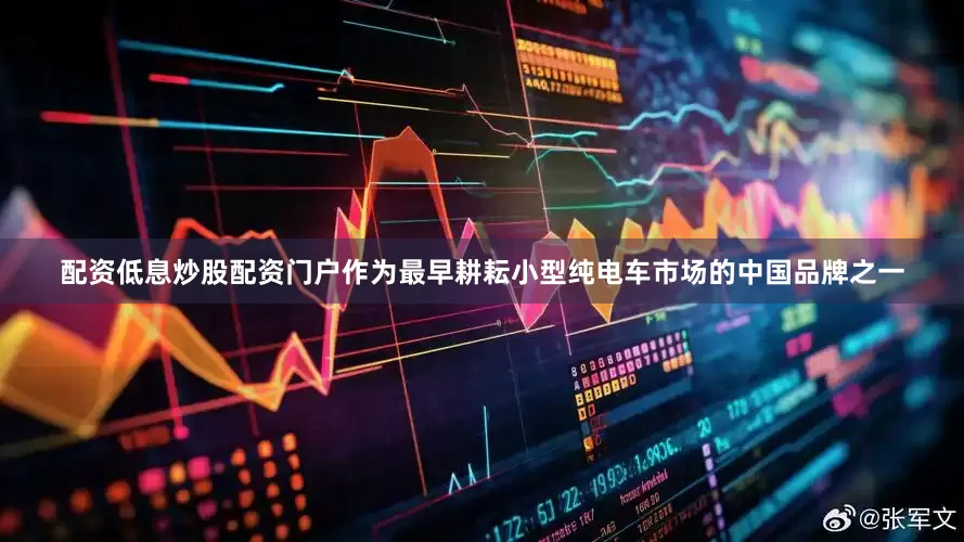 配资低息炒股配资门户作为最早耕耘小型纯电车市场的中国品牌之一